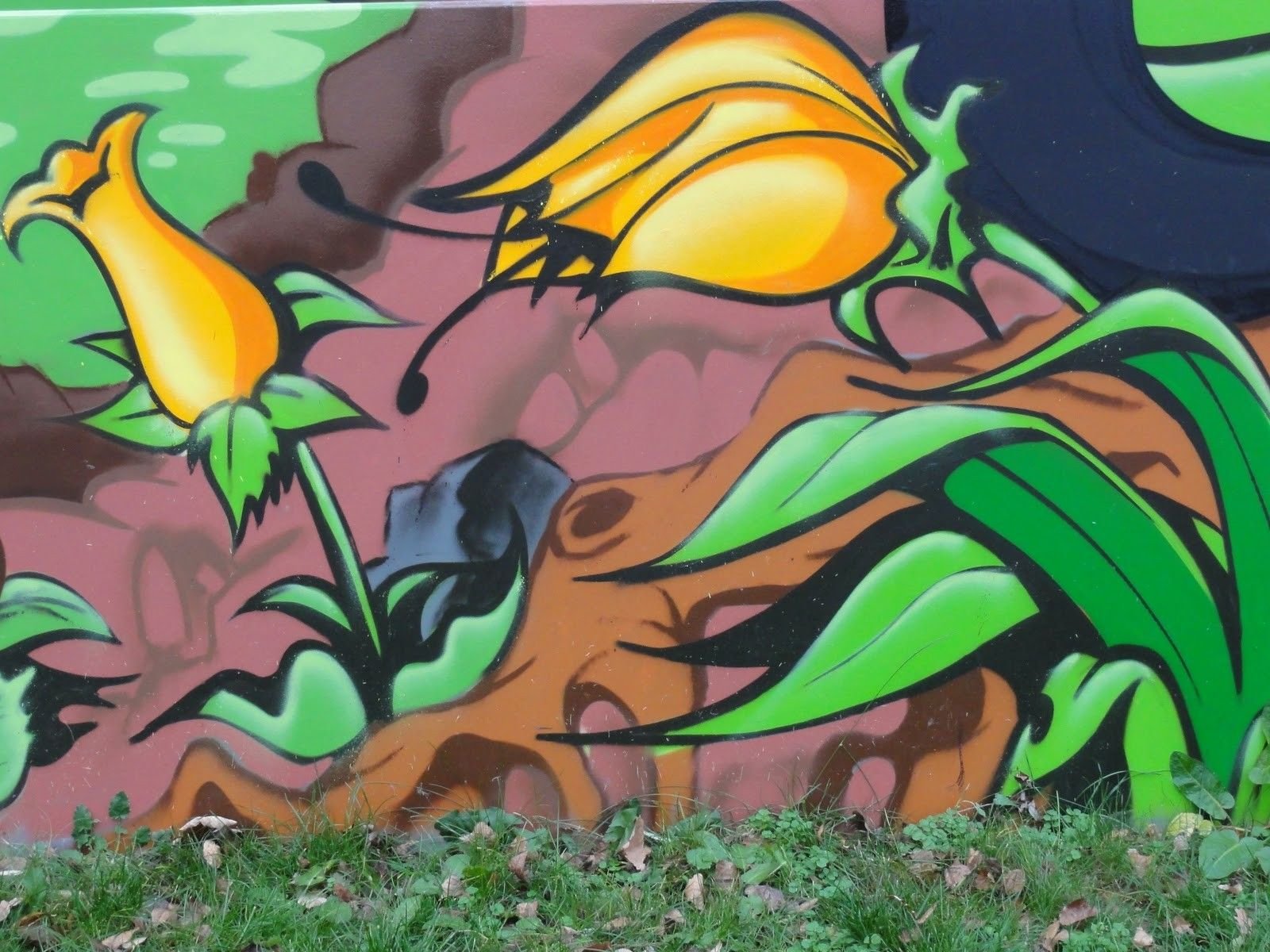 Граффити растения