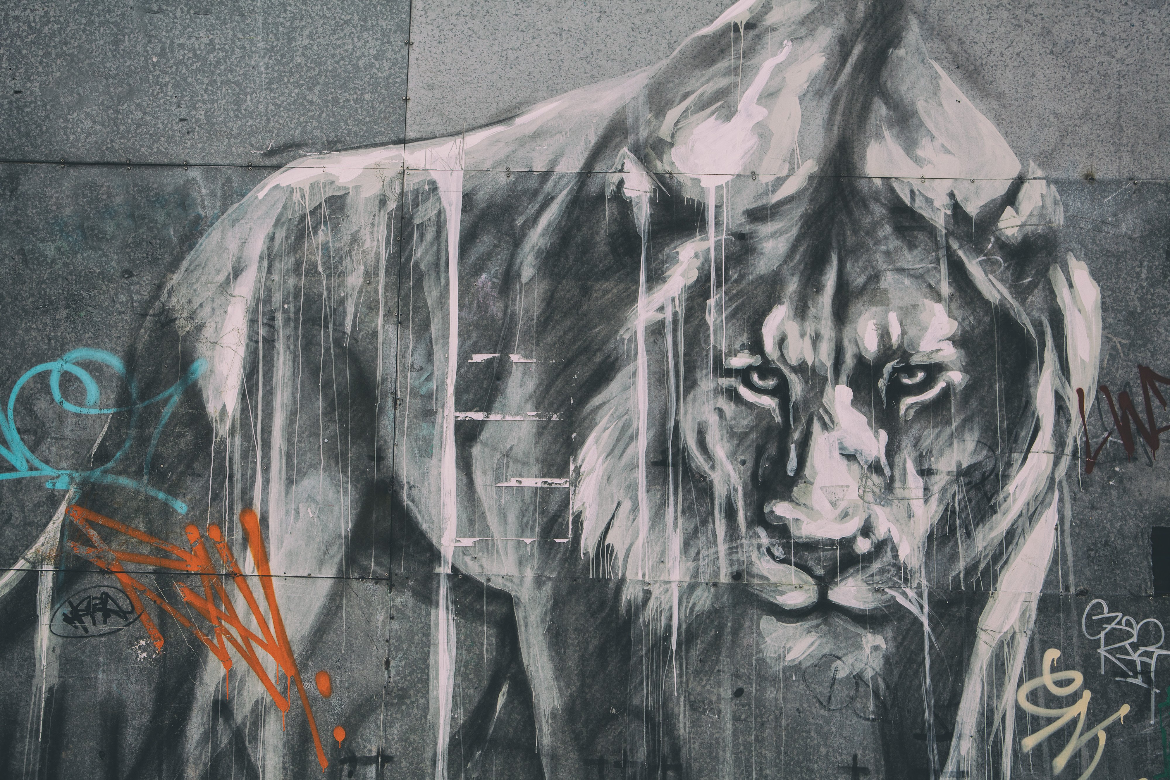 Лев граффити на стене