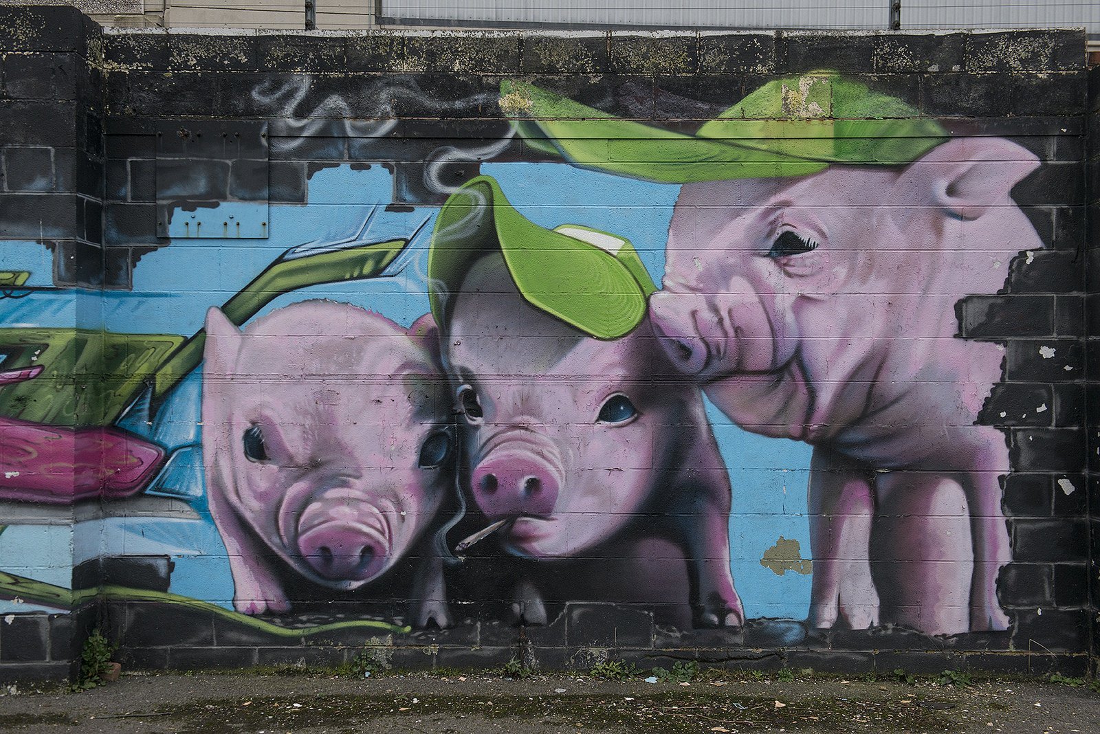 граффити свинья стим фото 14