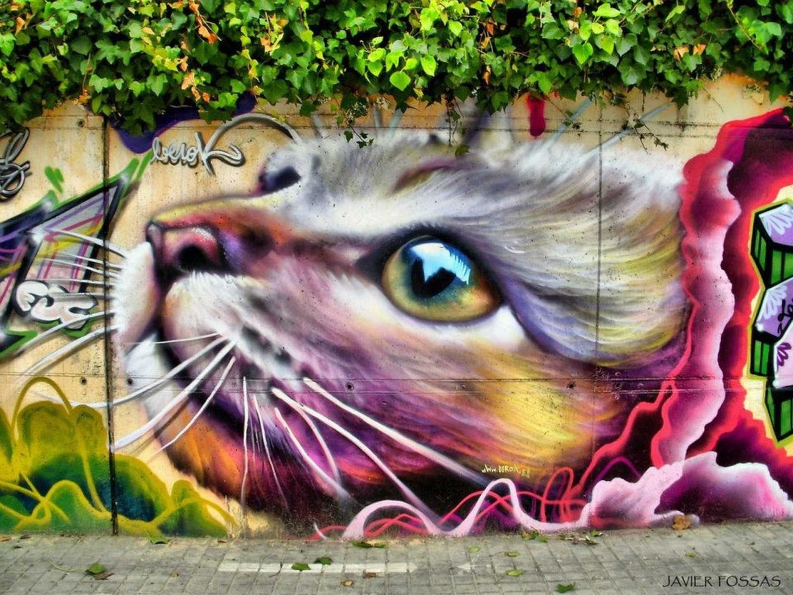 Граффити кот