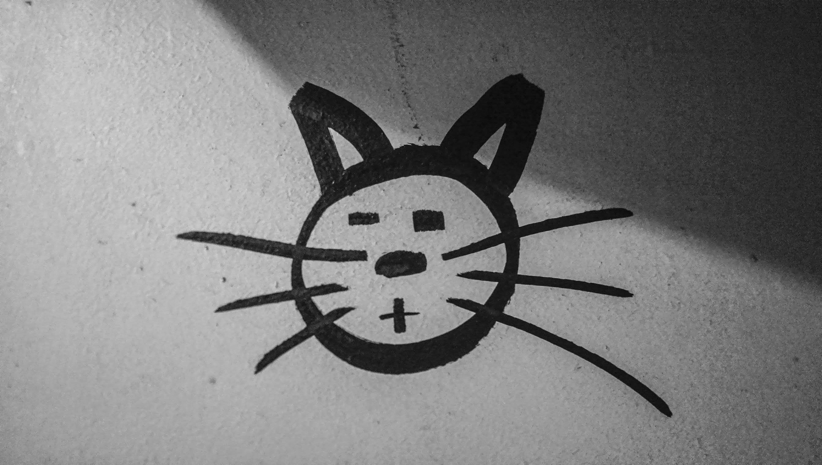 Граффити кот простое