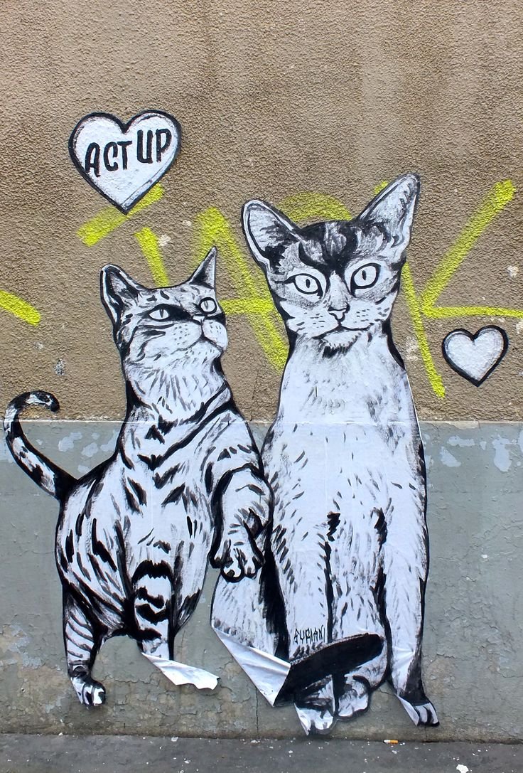 Коты в стрит арт