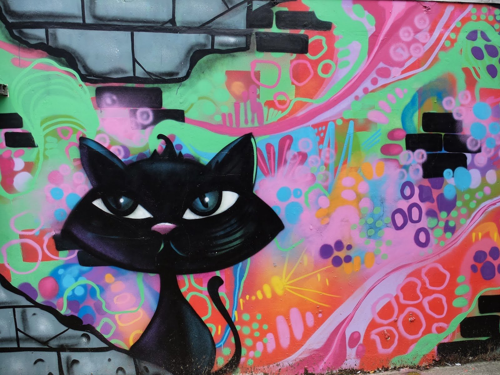 Черный кот граффити