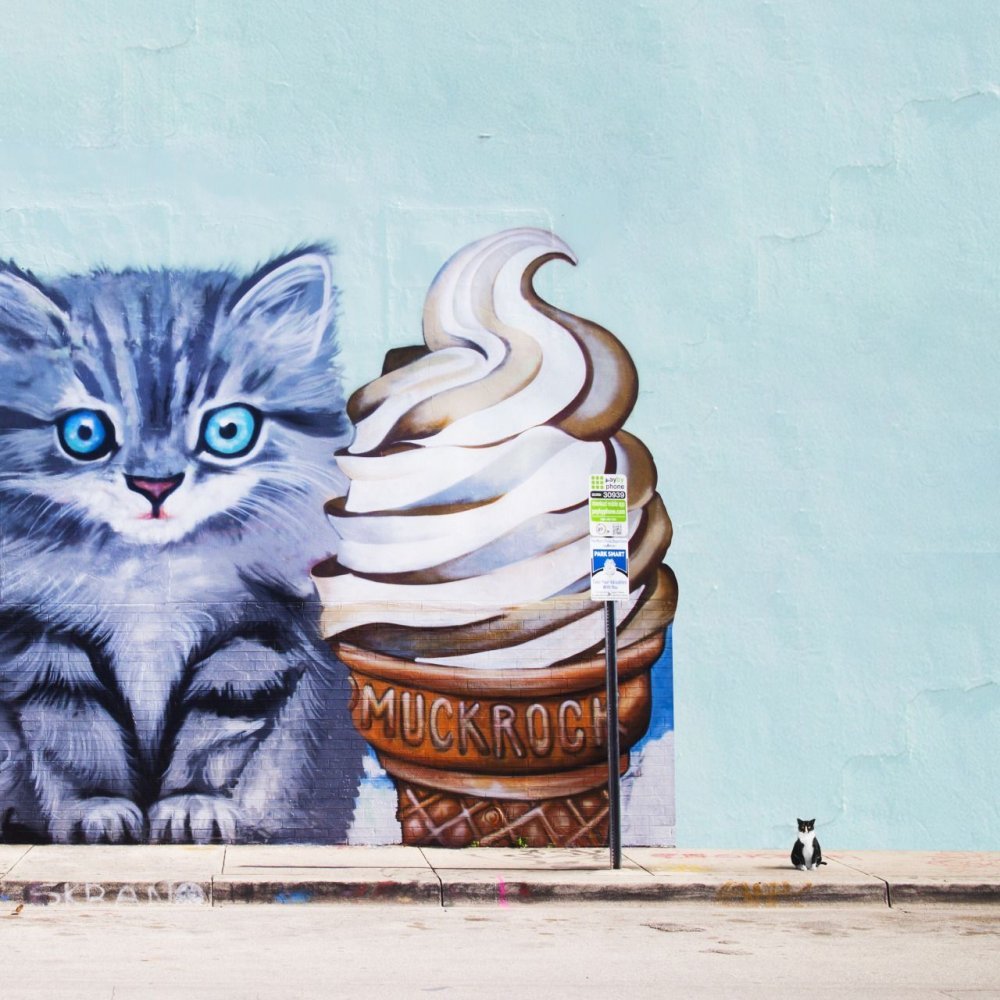 Коты в уличном искусстве