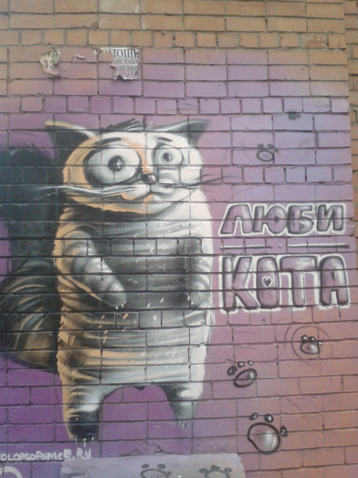 Люби кота Иваново граффити