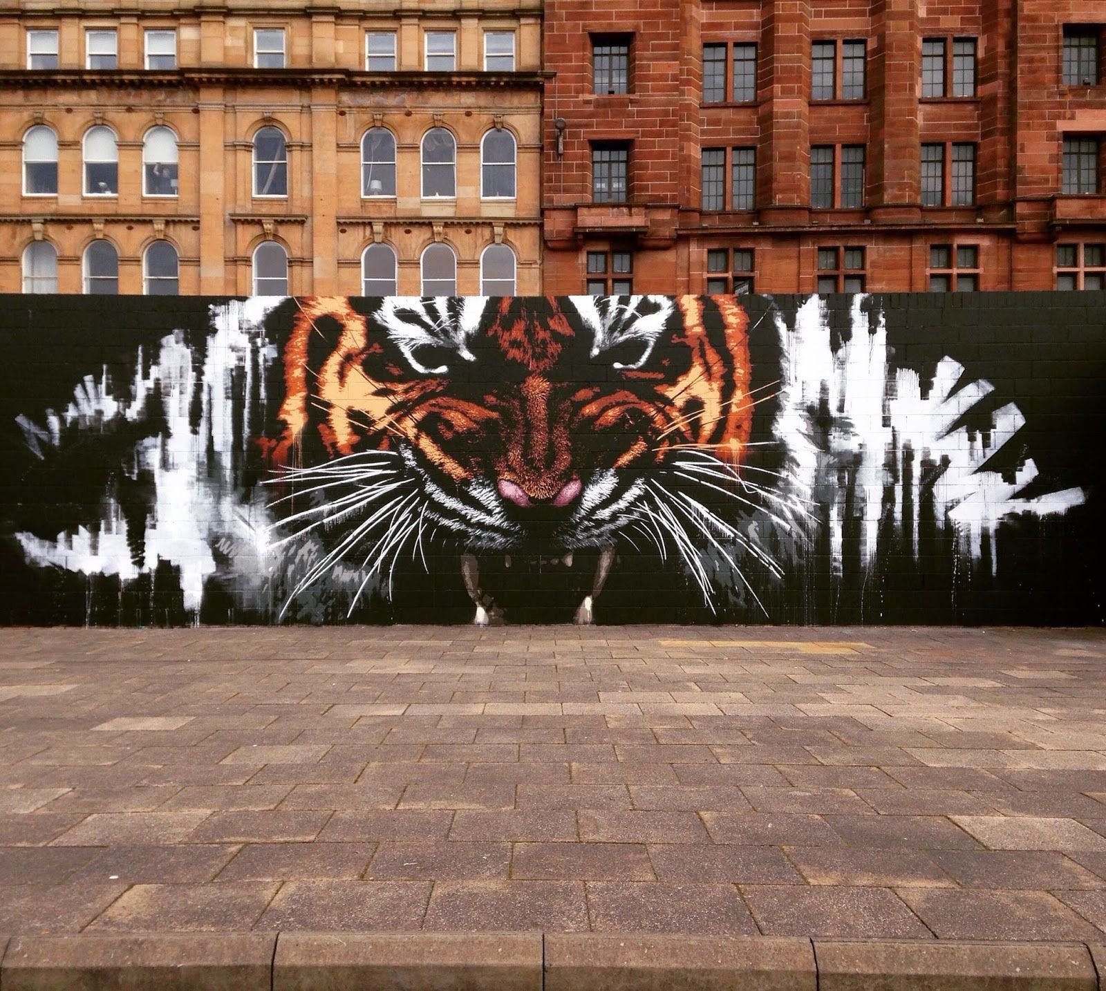 Граффити тигра на стене