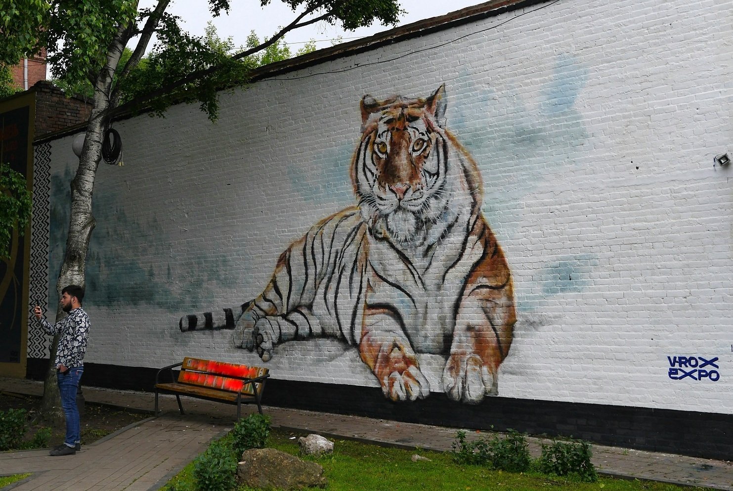 Граффити тигр Владивосток