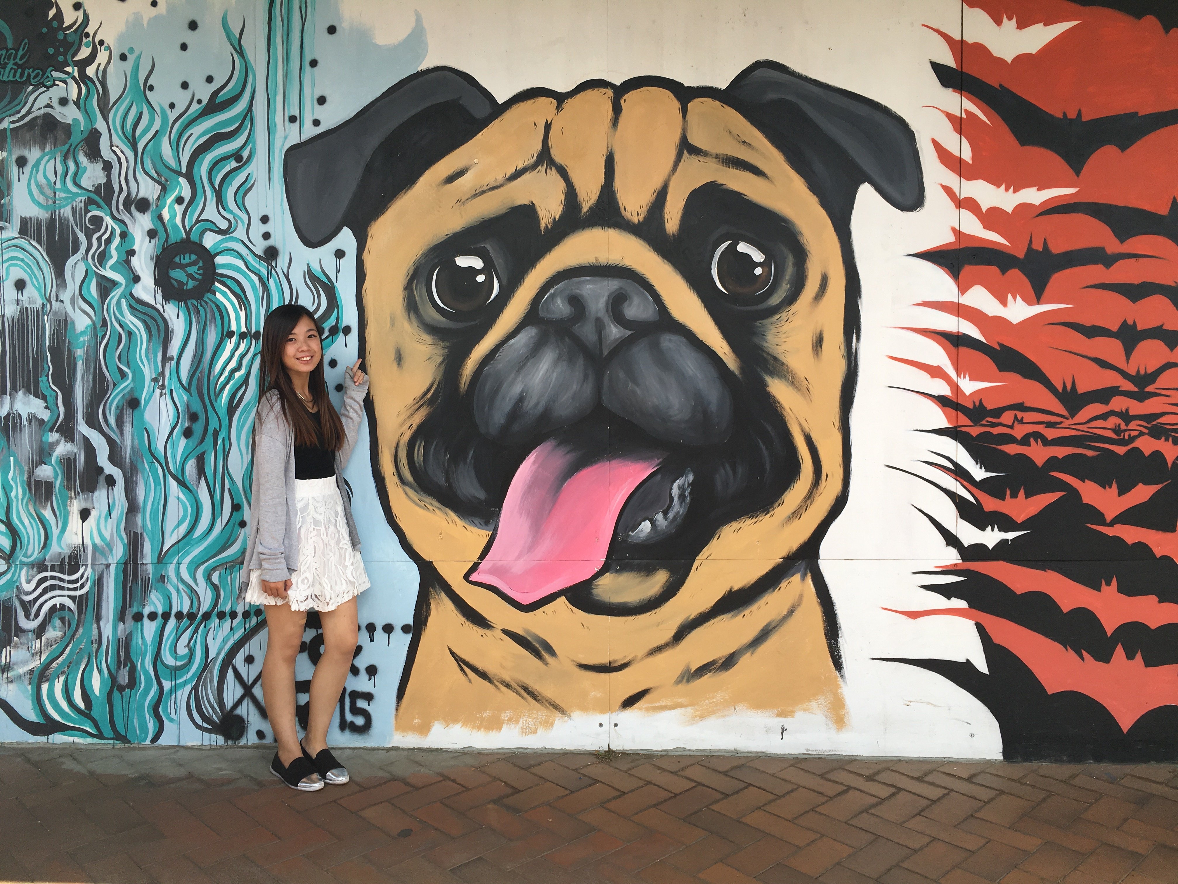 Уличное искусство собака