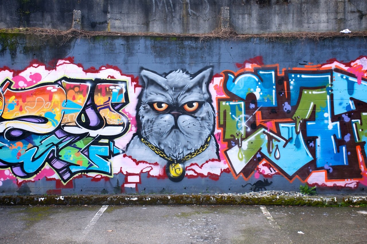 Граффити кот