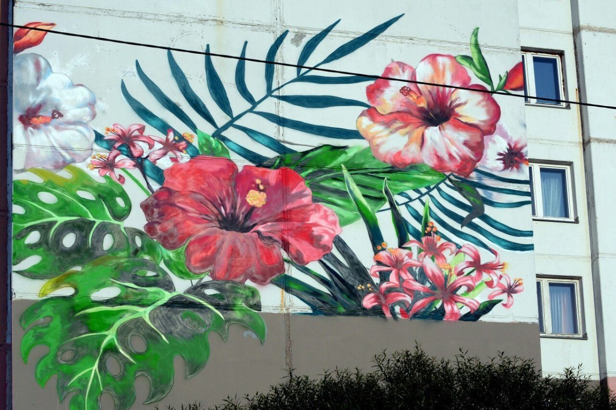 Нарисованные цветы на стене на улице