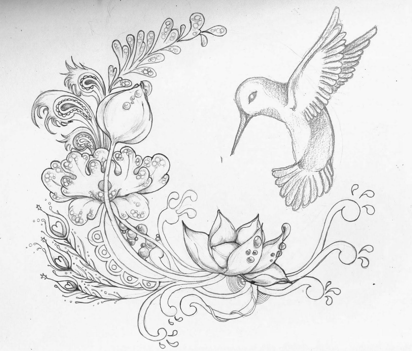 Рисунок птицы карандашом для срисовки