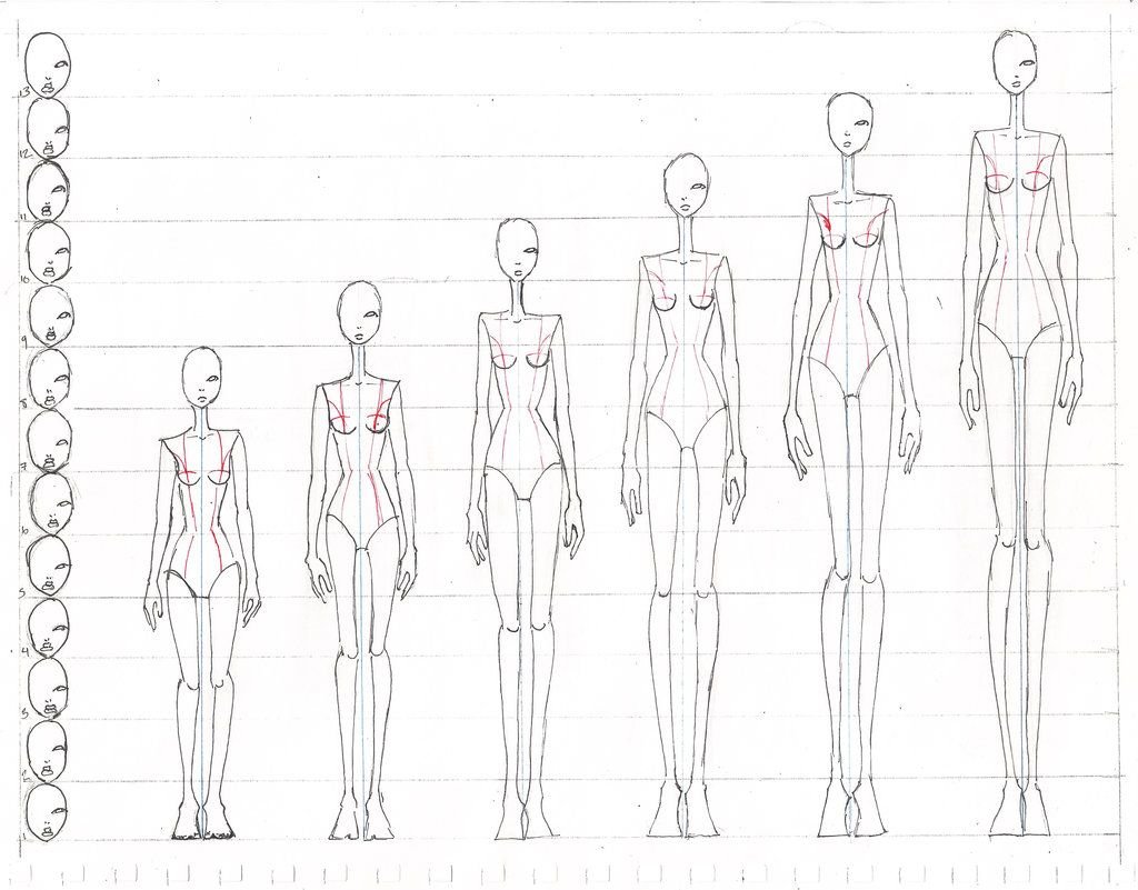 Анатомия тела для рисования дизайнеров