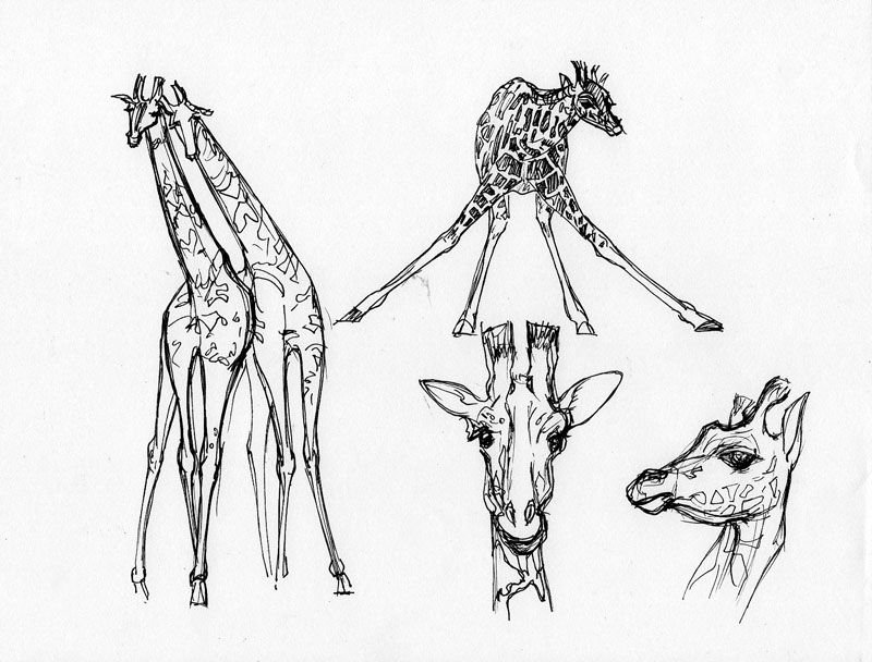Тату жираф эскизы