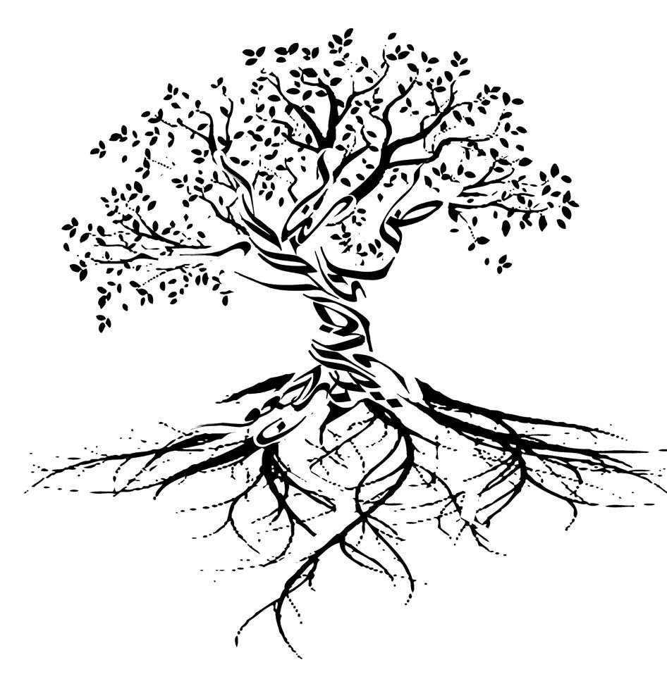 Корень дерева жизни