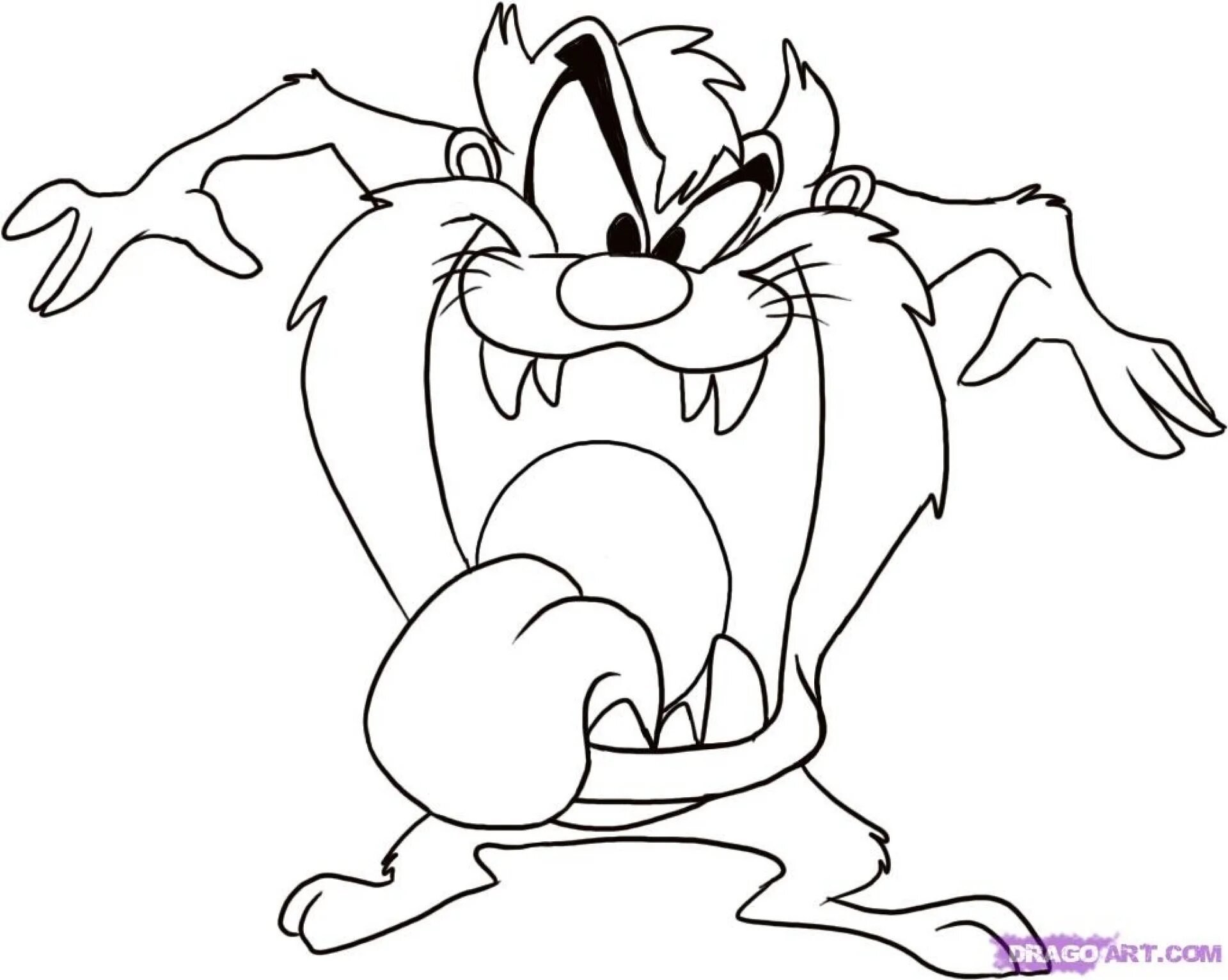 Тасманский дьявол рисунок карандашом