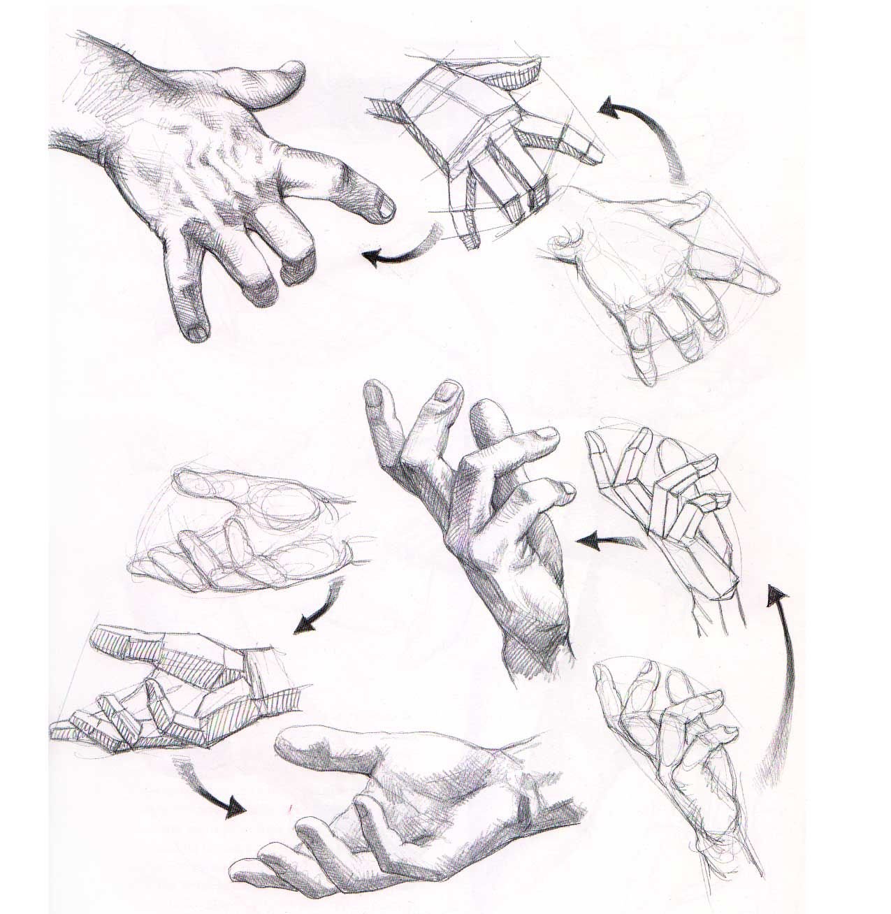 Рука человека с разных ракурсов