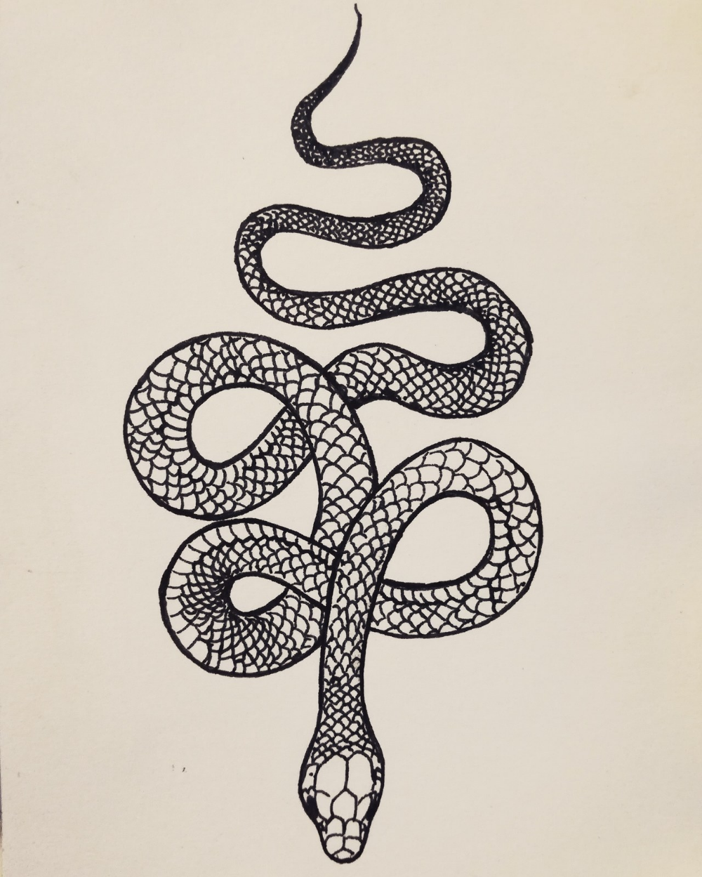 Змея эскиз. Эскизы татуировок змеи. Эскизы тату змей. Контурные тату змея.