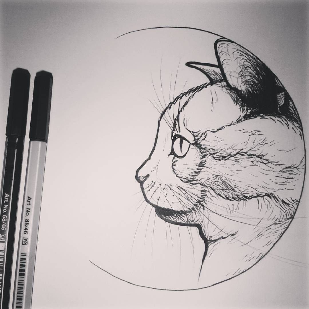 Кот гелевой ручкой
