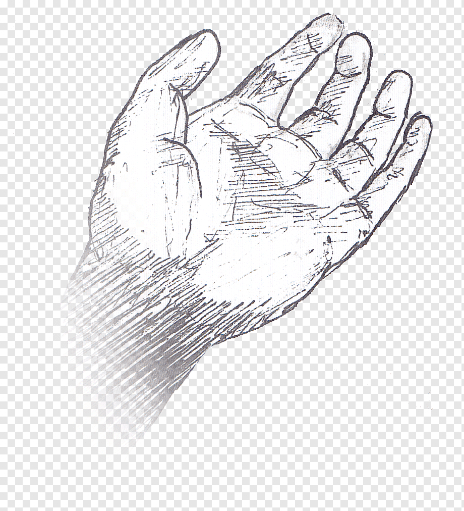 Руки картинка в пнг