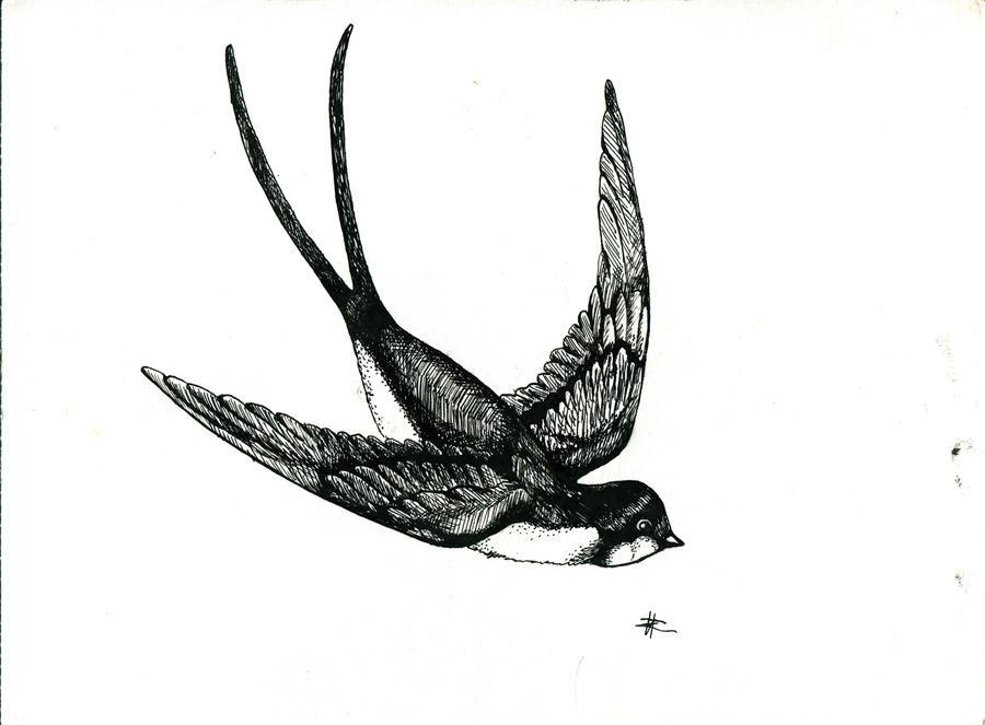 Изящную птицу ласточку называют. Ласточка. Ласточка тату эскиз. Ласточка Графика. Ласточка карандашом.