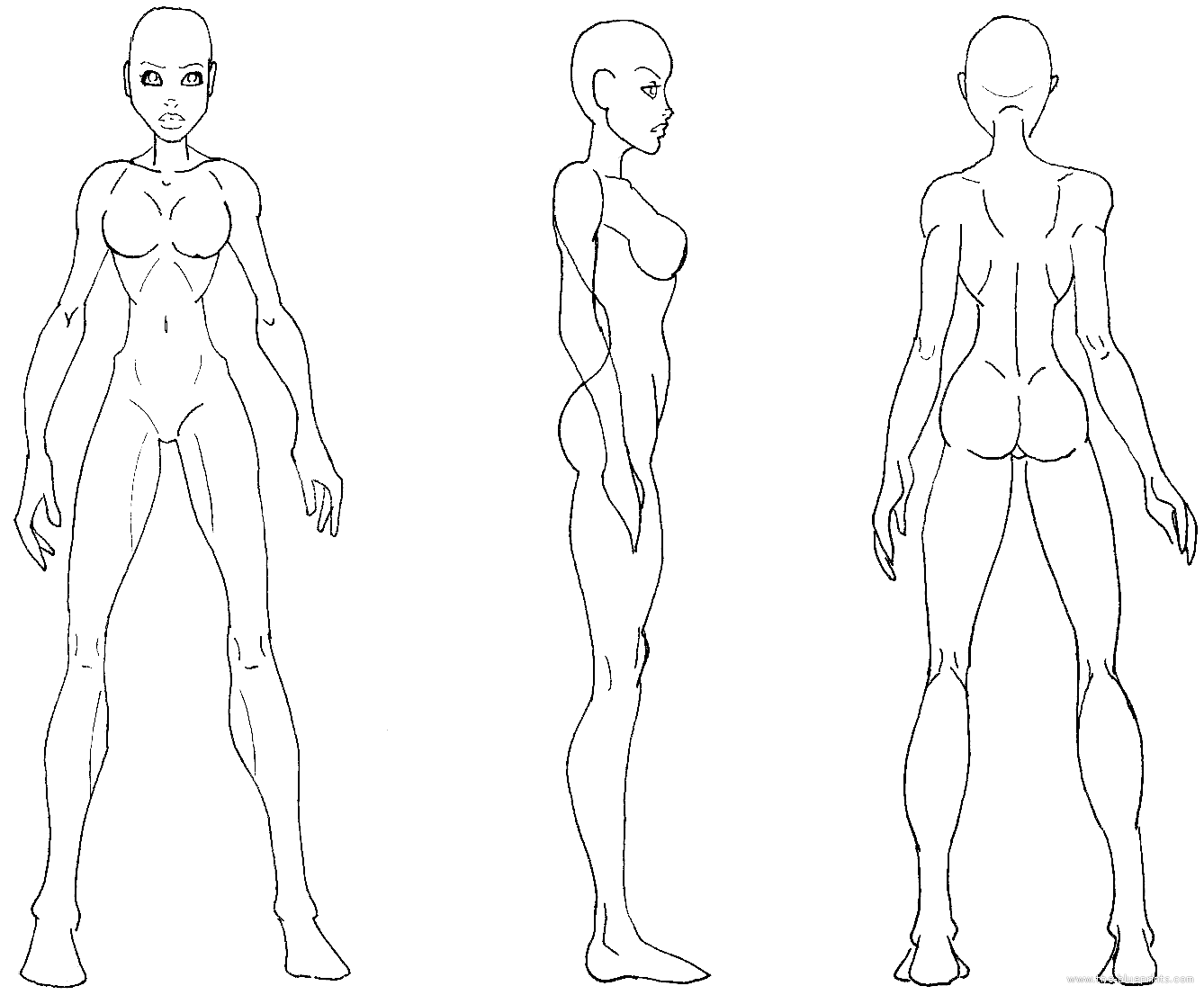 Референсы тела для моделирования
