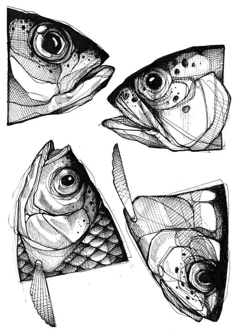 Рыба референс. Рыбка стилизация. Стилизованные рыбки. Рыба Графика. Стилизованное изображение рыбы.
