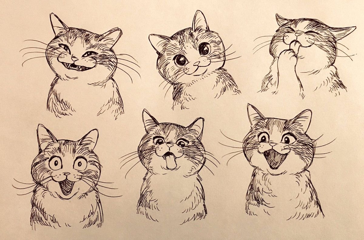 Зарисовки котов
