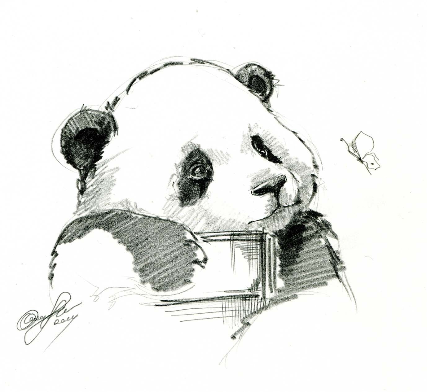 Панда набросок
