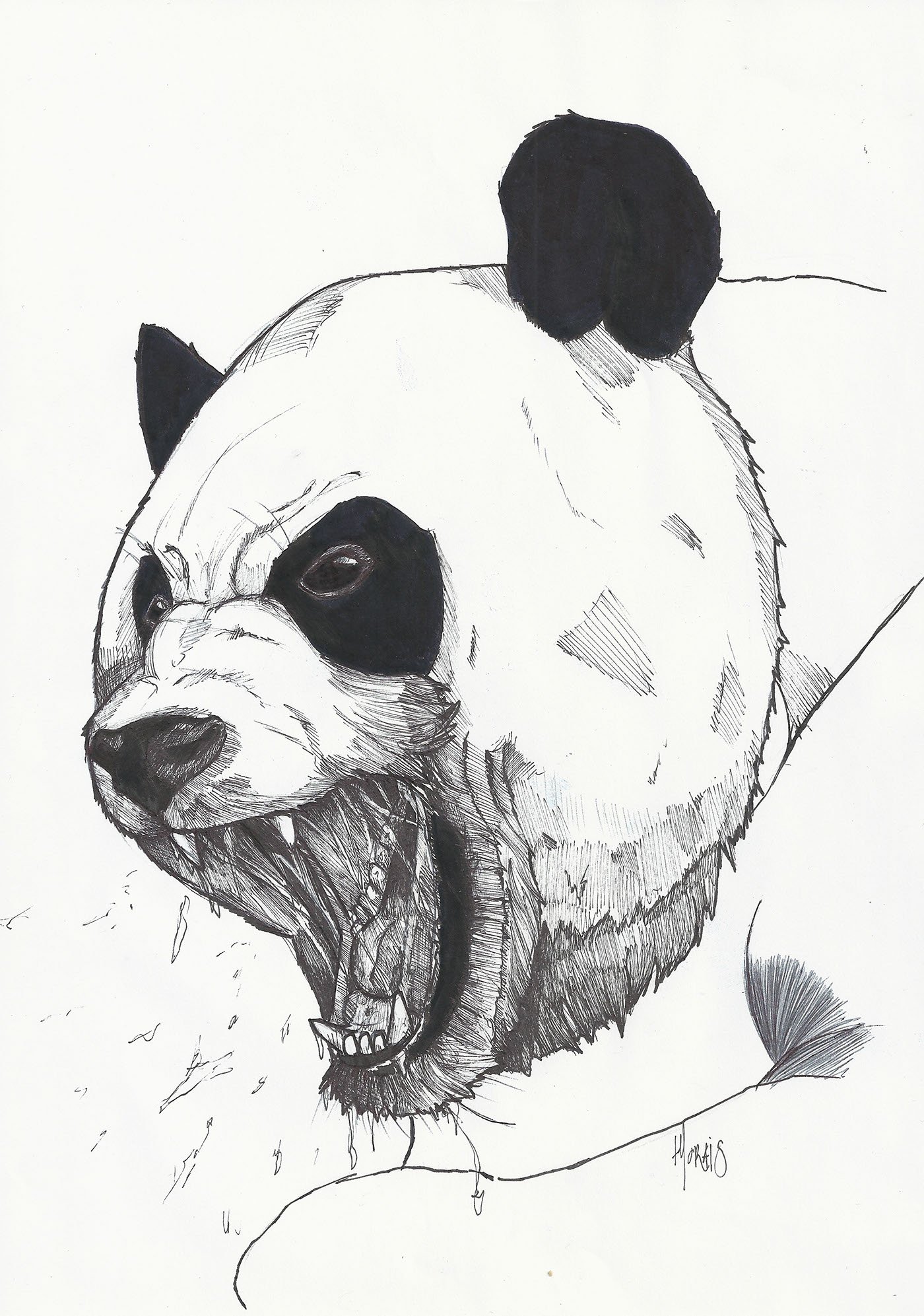 Панда рисунок тату