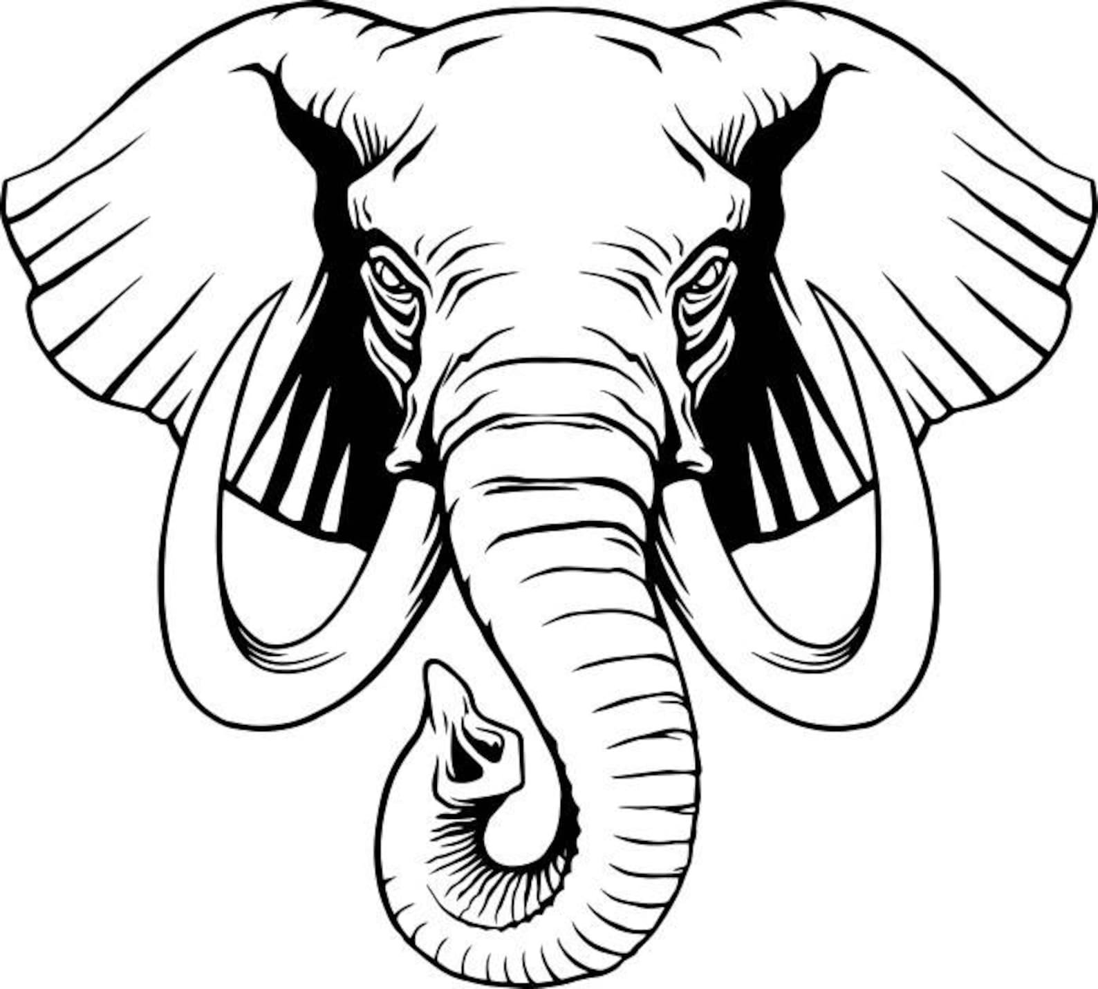 Контур головы слона