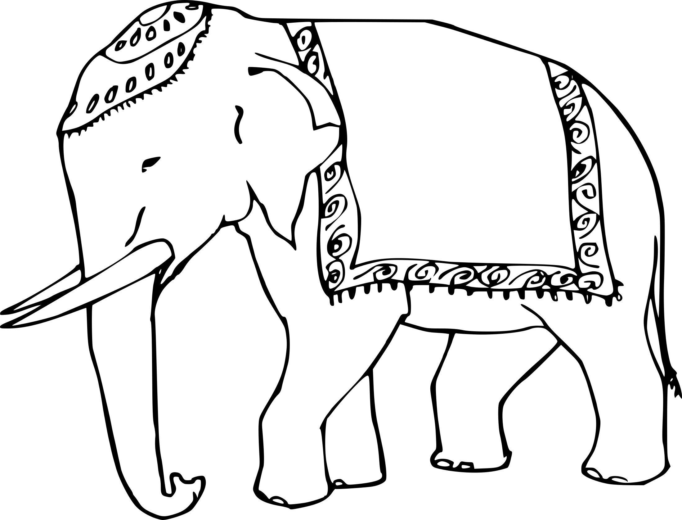 Индийский слон раскраска
