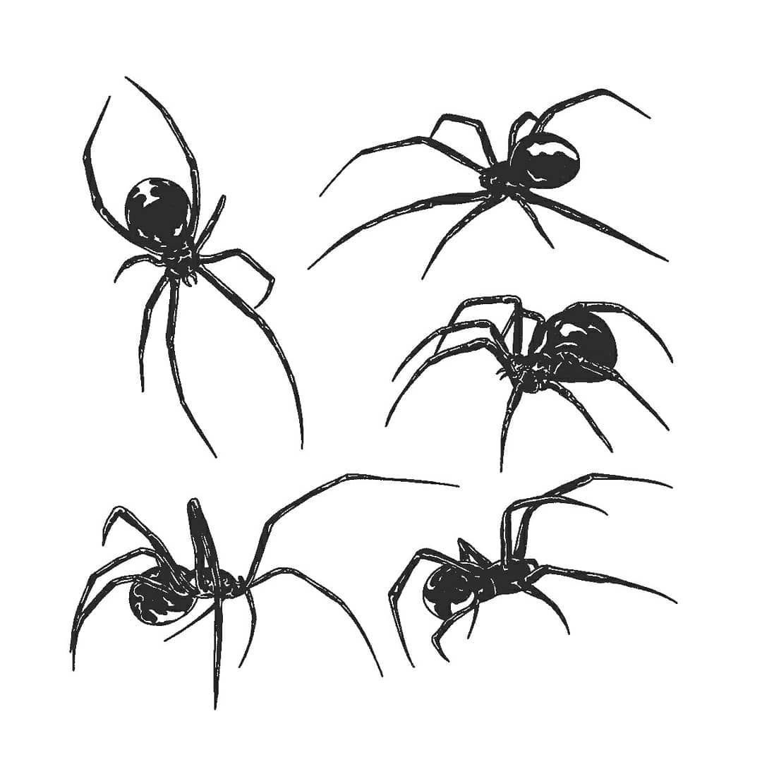 Эскизы пауков для тату