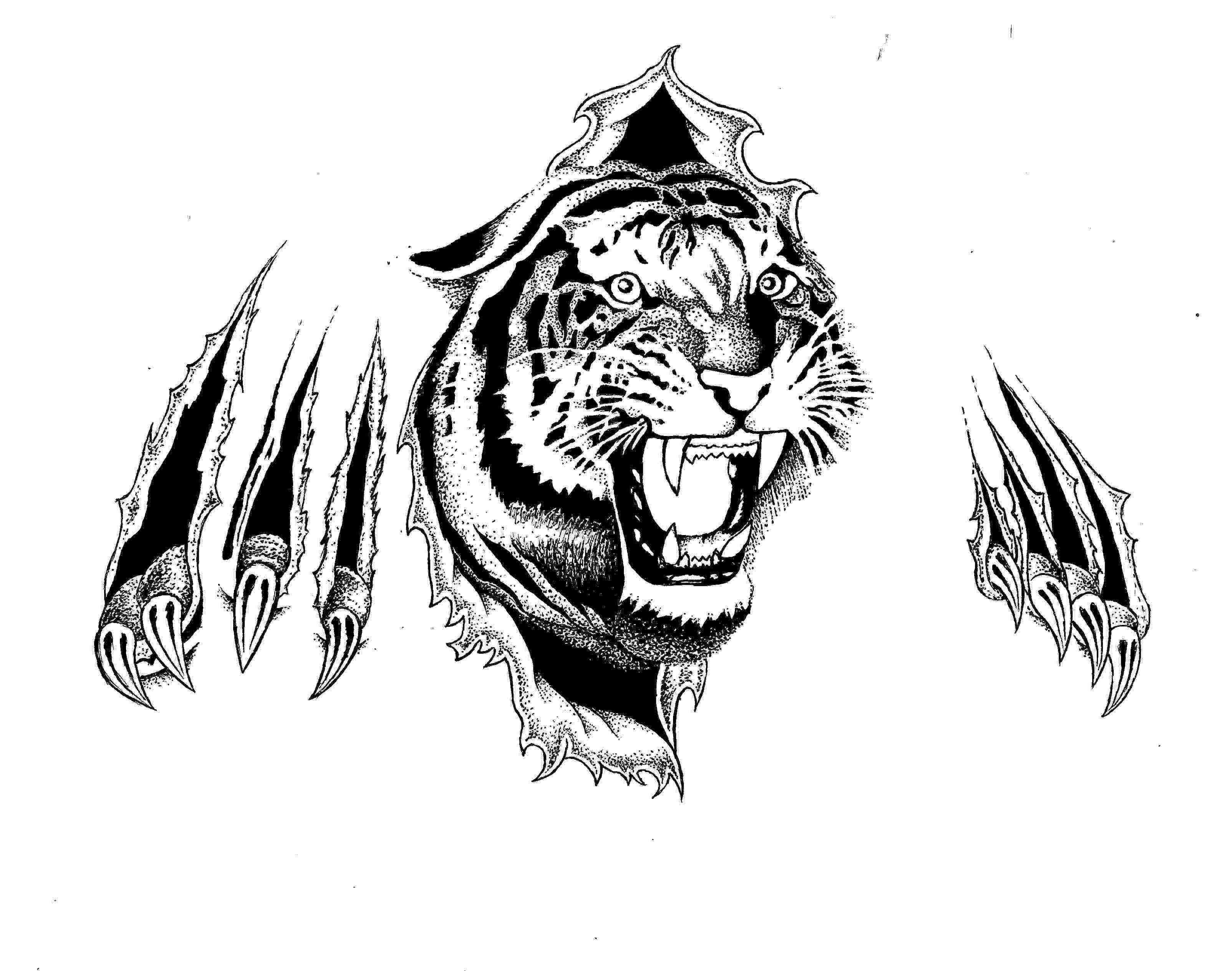 Оскал тигра тату эскиз