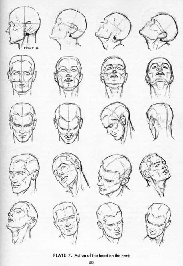Позы головы человека. Рисование головы по методу Эндрю Лумиса. Голова снизу референс. Голова человека референс с разных ракурсов. Голова в профиль референс.