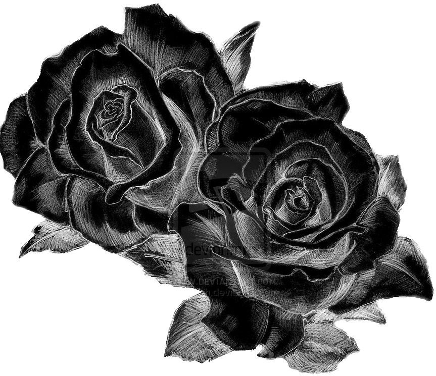 Как называется черный рисунок. Черная роза тату. Черные цветы эскиз. Белая роза на черном фоне тату. Темные розы эскиз.