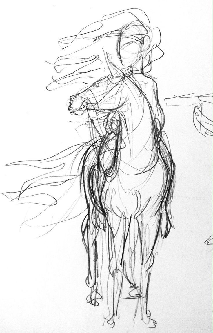 Девушка на коне скетч
