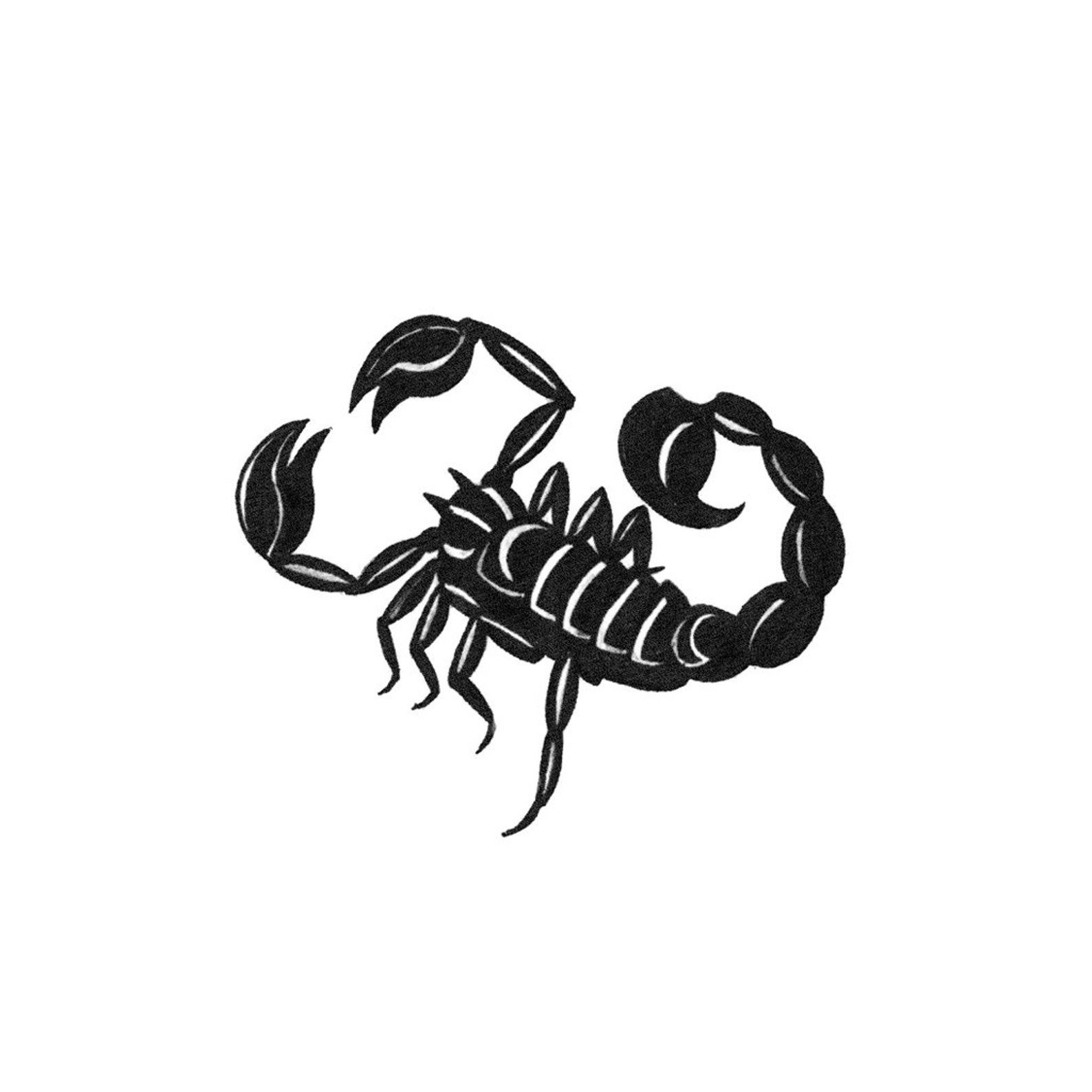 Скорпион тату эскиз