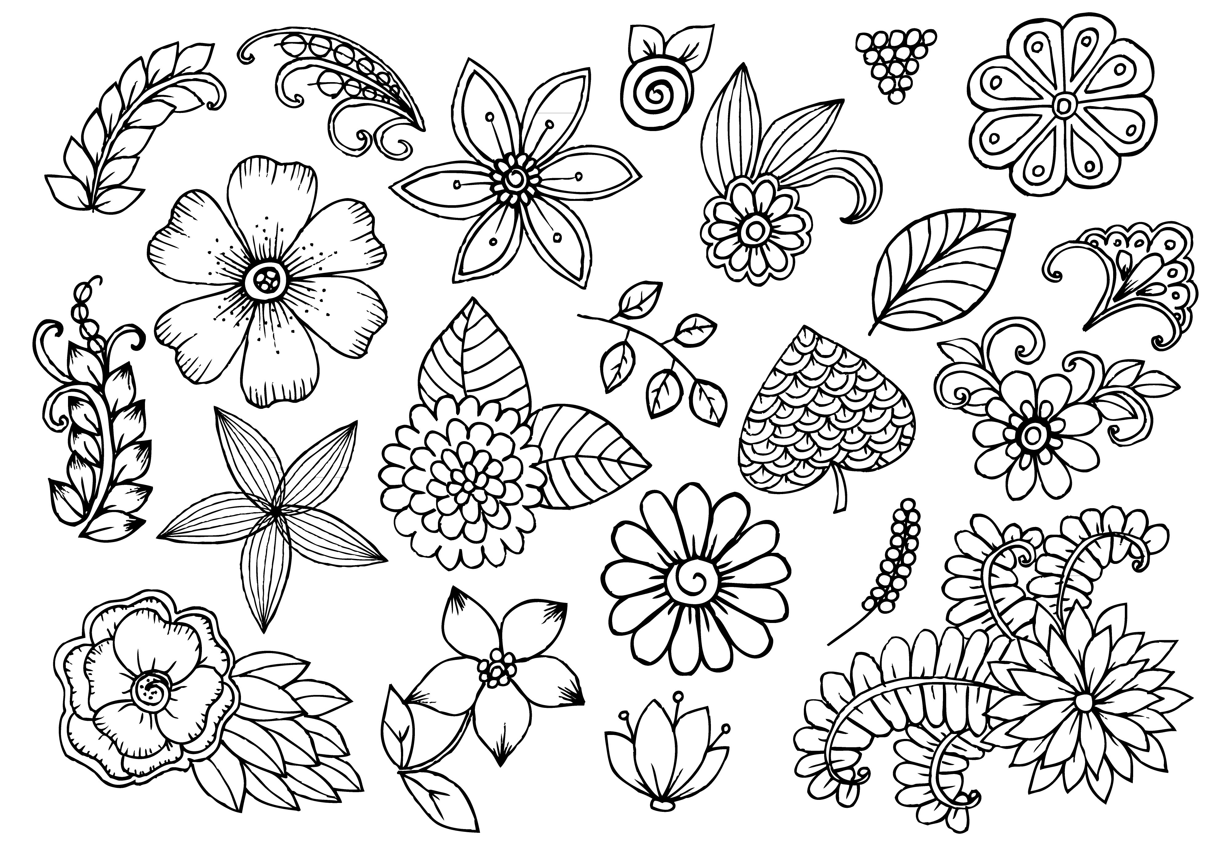 Различные узоры для рисования цветы