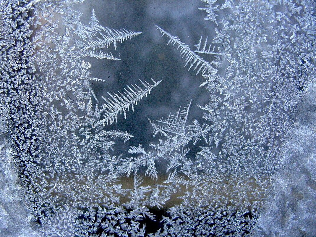 Мороз разрисовал. Зимние узоры на окнах. Морозные узоры. Мороз на окне. Морозное окно.
