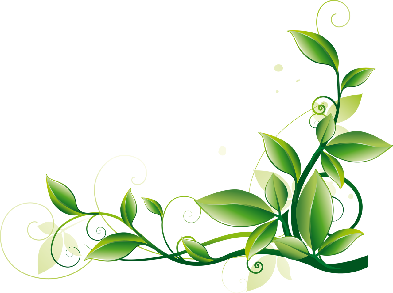 Green png. Зеленые узоры на белом фоне. Растительный узор. Растительные узоры на белом фоне. Травяной орнамент.