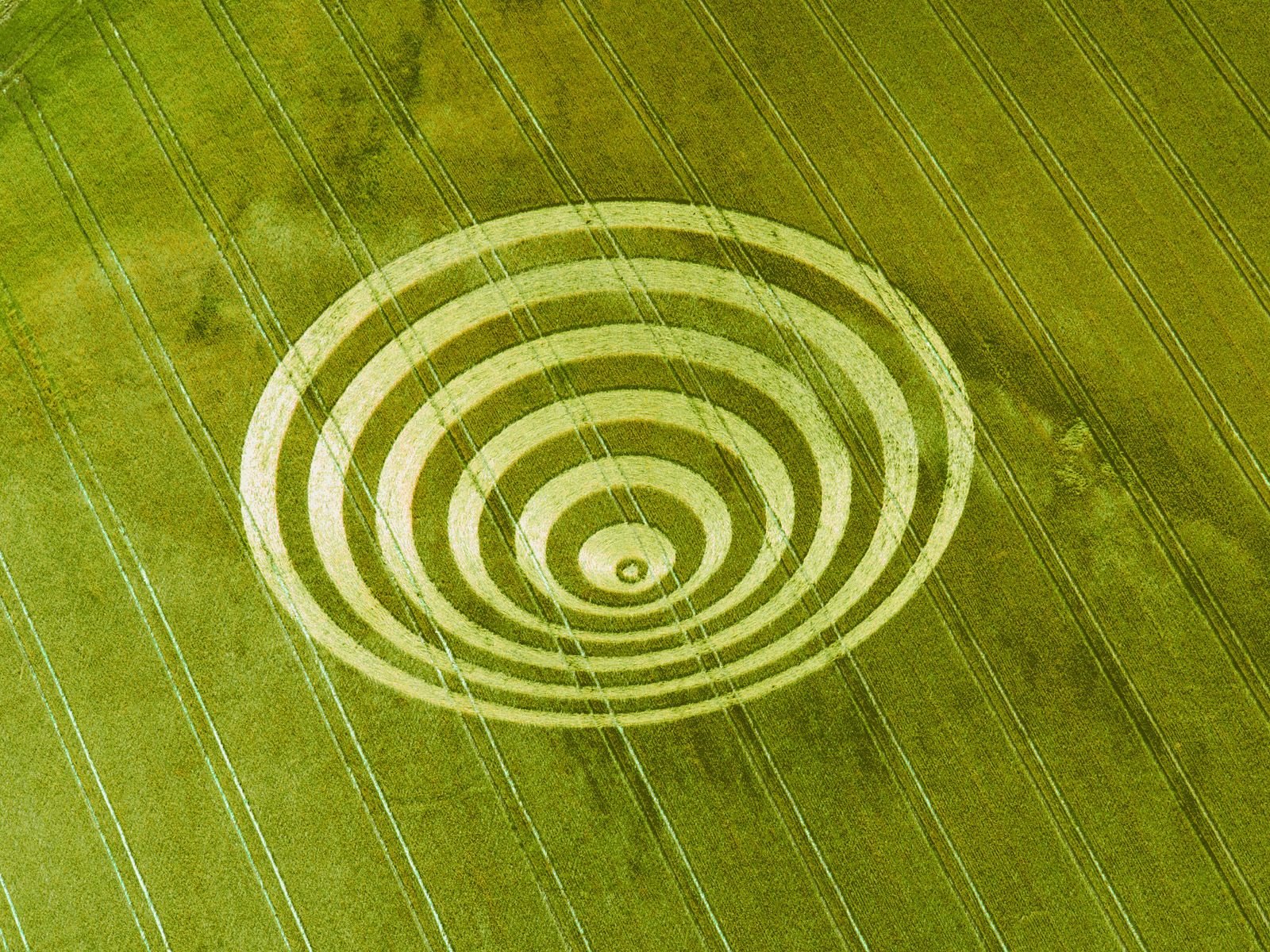 Круги на полях 1960