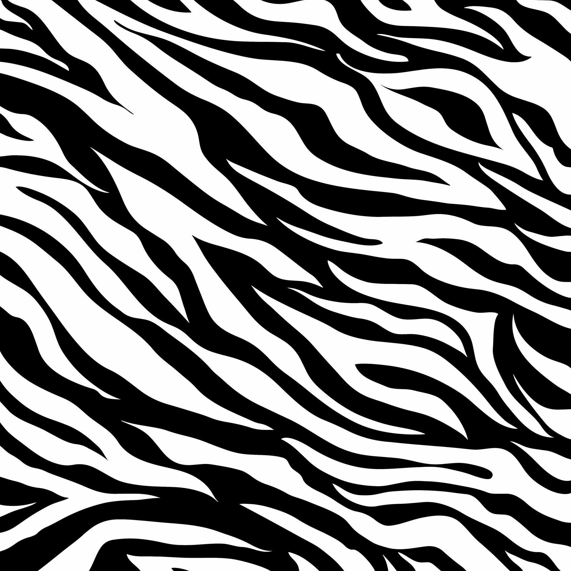 Zebra Skin pattern