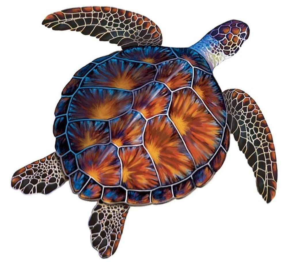Симметрия черепахи. Черепаха бисса панцирь. Морская черепаха вид сбоку. Черепаха бисса (Каретта). Блоптоп черепаха.