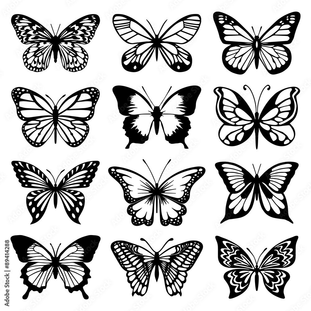 Распечатки бабочек черно. Трафареты бабочки. Бабочки трафарет для вырезания красивые. Контуры бабочек для декора. Эскиз бабочки для вырезания.