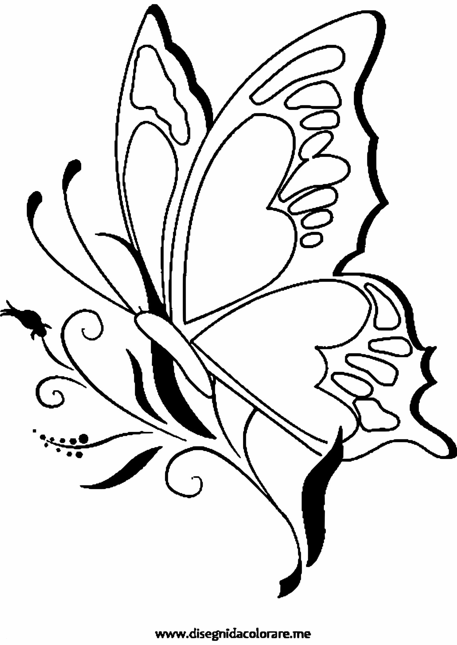 Трафарет бабочки на цветах