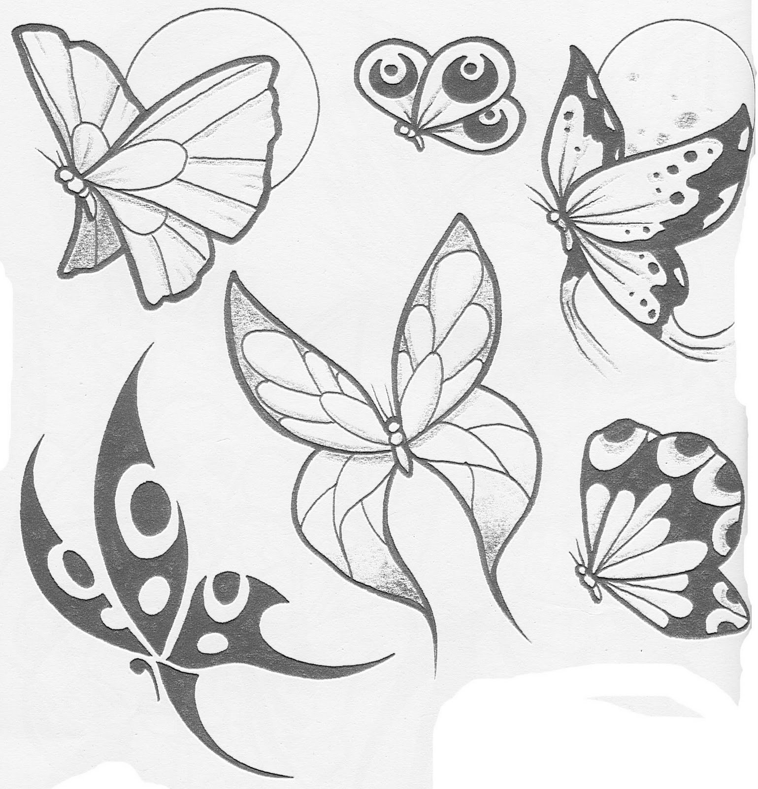 Рисунок бабочки карандашом для срисовки