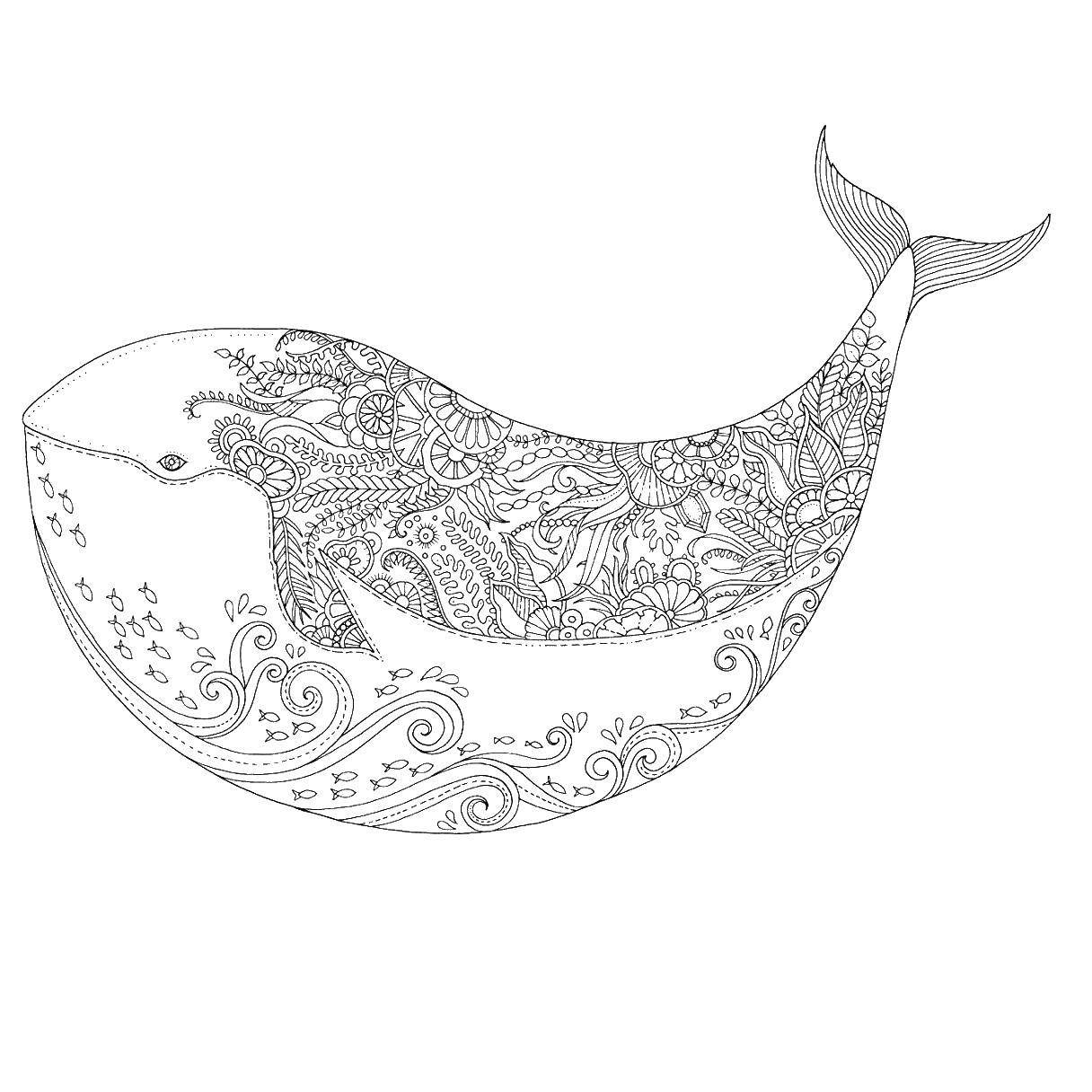 Раскраска антистресс кит