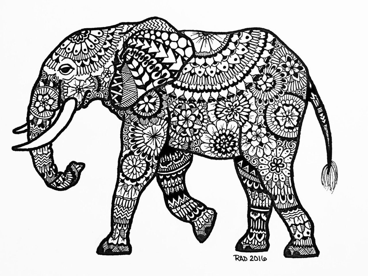 Индийский слон сбоку рисунок