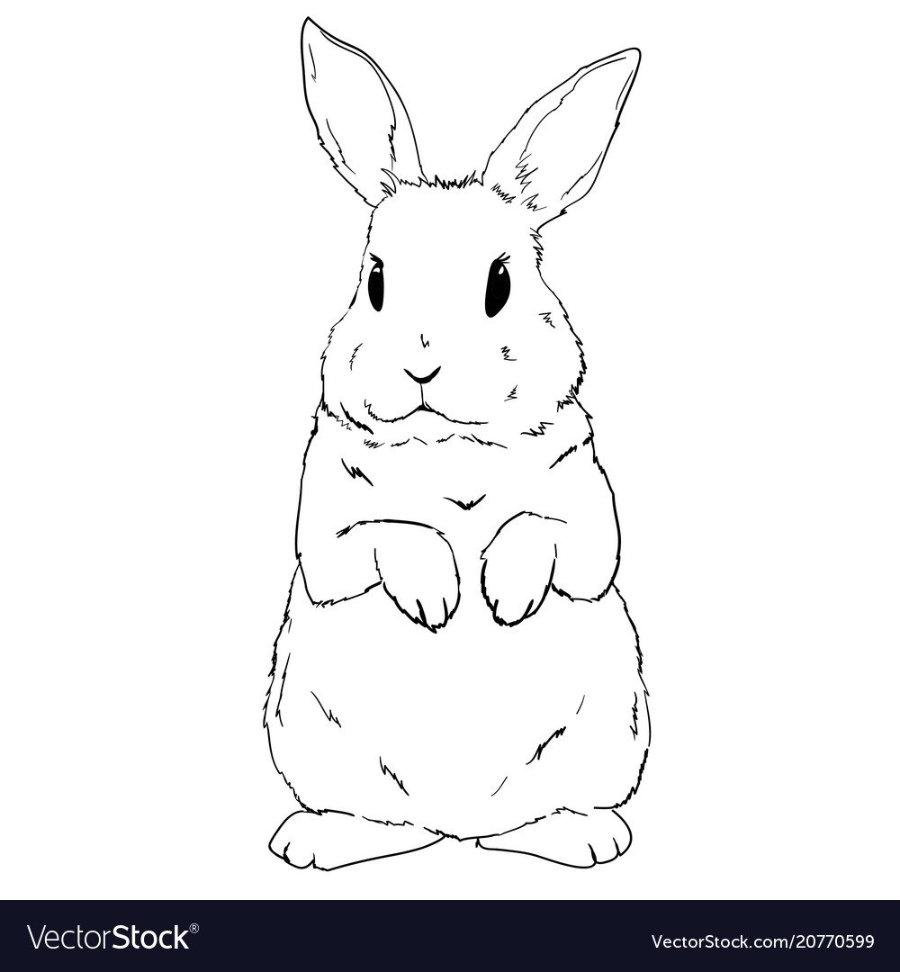Кролик вектор контур