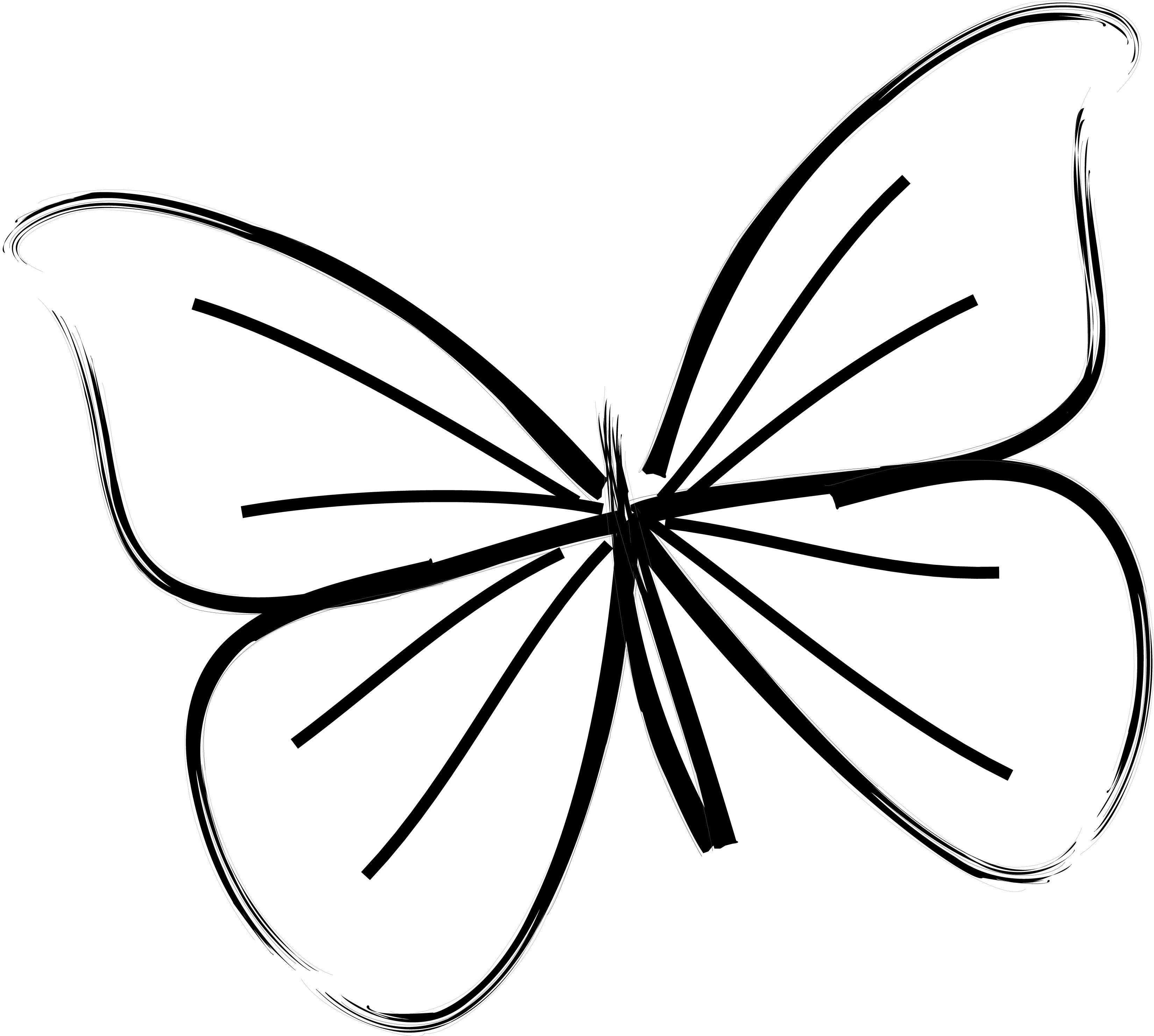 Бабочка рисунок контур